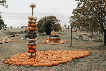 Image showing pyramid from Autumn harvested pumpkins