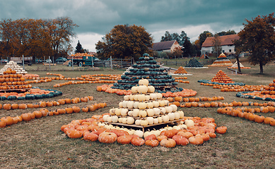 Image showing pyramid from Autumn harvested pumpkins