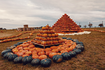 Image showing pyramid from Autumn harvested pumpkins