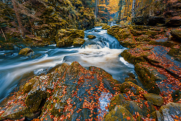 Image showing wild river Doubrava, autumn landscape