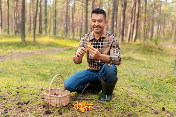 Image showing happy man with basket picking mushrooms in forest