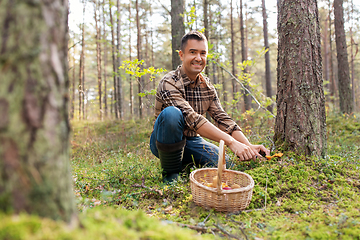 Image showing happy man with basket picking mushrooms in forest