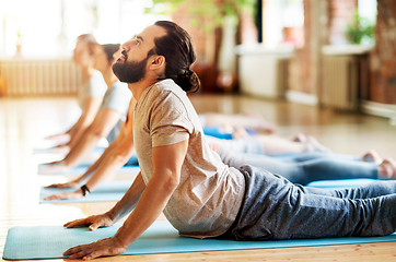 Image showing group of people doing yoga cobra pose at studio