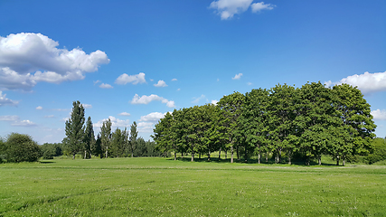 Image showing Beautiful summer landscape 