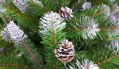 Image showing Artificial branches of an Christmas tree with snow and cones