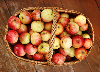 Image showing Bright tasty ripe apples in a basket