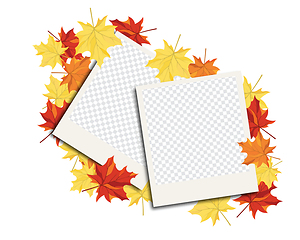 Image showing Maple leaves on transparency grid