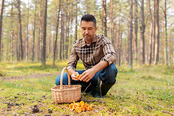 Image showing happy man with basket picking mushrooms in forest