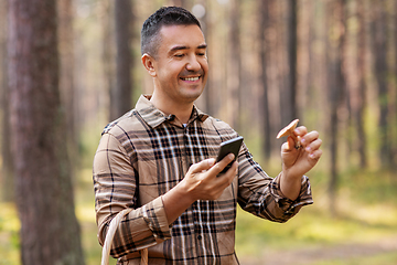 Image showing man using smartphone to identify mushroom