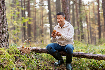 Image showing man with basket picking mushrooms in forest