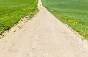 Image showing spring landscape