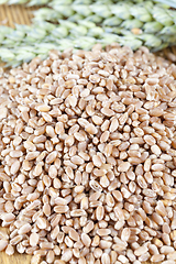 Image showing wheat grains