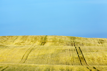 Image showing summer landscape