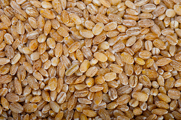 Image showing organic wheat grains