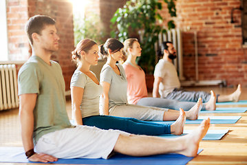 Image showing group of people doing yoga staff pose at studio