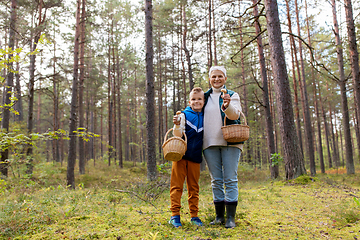 Image showing grandmother and grandson with mushrooms in forest