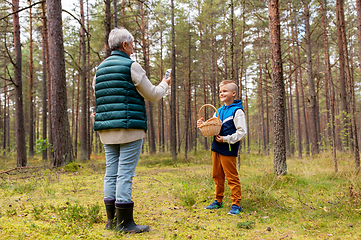 Image showing grandmother photographing grandson with mushrooms