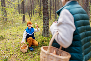 Image showing grandmother and grandson with mushrooms in forest