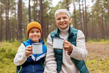 Image showing grandmother with grandson drinking tea in forest