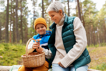 Image showing grandmother and grandson with mushrooms in forest