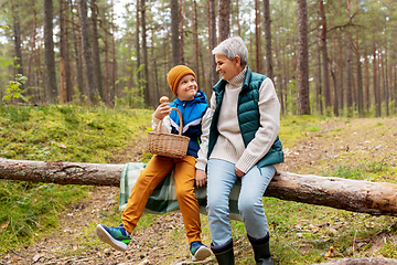 Image showing grandmother and grandson with mushrooms in forest