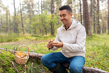 Image showing man with basket picking mushrooms in forest