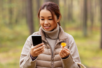 Image showing asian woman using smartphone to identify mushroom