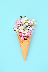 Image showing Apple Blossom Ice Cream Cone Abstract Concept