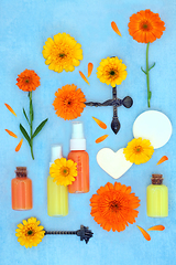 Image showing Calendula Flowers for Natural Skincare Products
