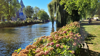 Image showing Channel in Amsterdam Netherlands. Big trees near river Amstel landmark. Old European city summer landscape