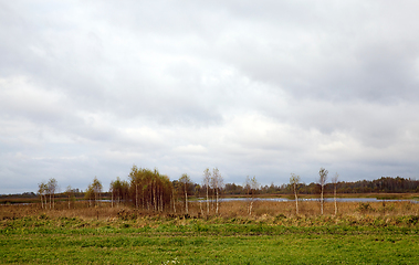 Image showing autumn landscape