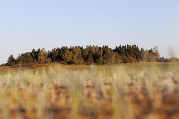 Image showing autumn landscape