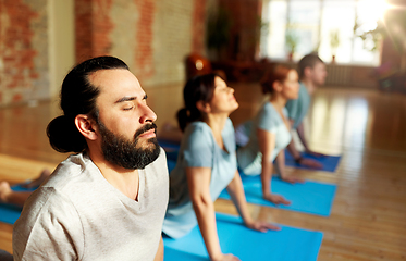 Image showing group of people doing yoga cobra pose at studio