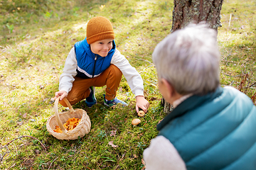 Image showing grandmother and grandson with mushrooms in forest