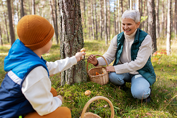 Image showing grandmother and grandson with mushrooms in forest