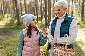 Image showing grandmother and granddaughter picking mushrooms