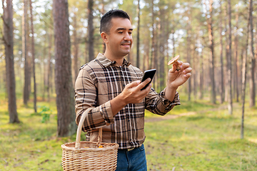 Image showing man using smartphone to identify mushroom