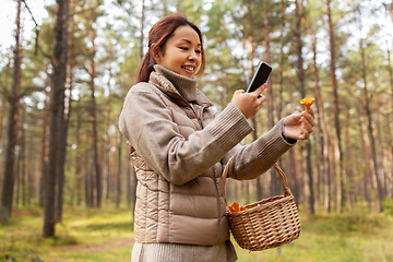 Image showing asian woman using smartphone to identify mushroom