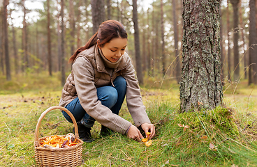 Image showing young woman picking mushrooms in autumn forest