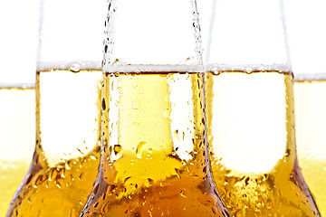 Image showing beer closeup on white