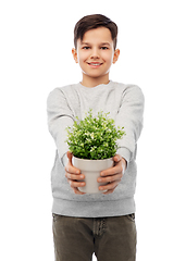 Image showing happy smiling boy holding flower in pot