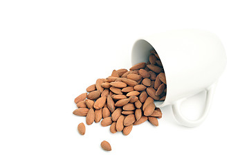 Image showing hazelnuts spilt from cup