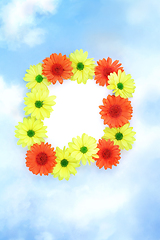 Image showing Chrysanthemum Flower Abstract Background Border