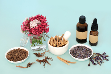 Image showing Adaptogen Herbs Herbal Medicine to Reduce Stress