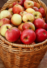 Image showing Bright tasty ripe apples in a basket