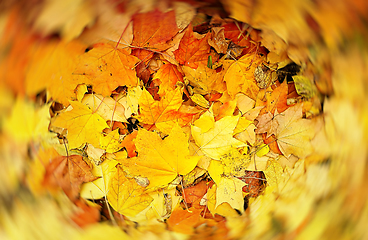 Image showing Abstract blur bright autumn background