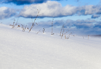 Image showing Snow in winter