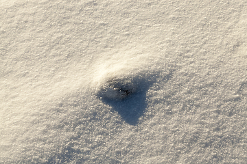 Image showing land covered with snow close-up