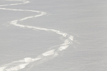 Image showing trampled in a deep snow