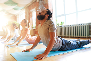 Image showing group of people doing yoga cobra pose at studio